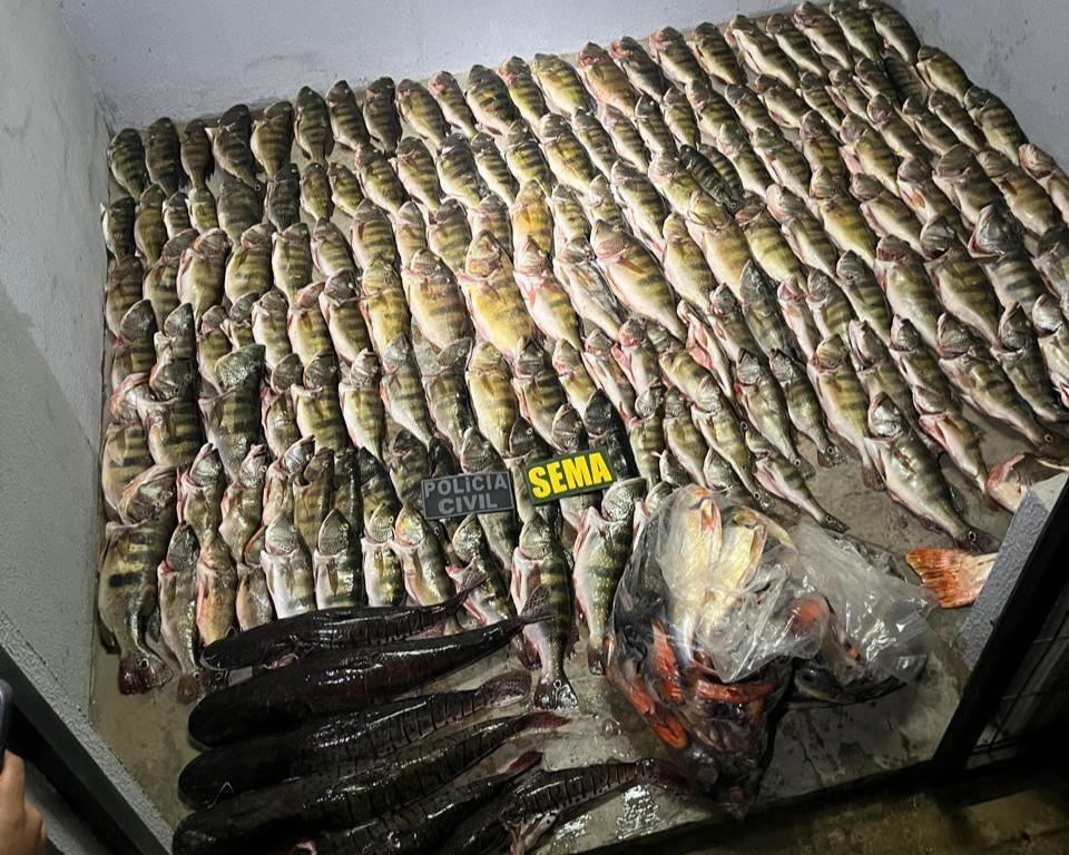 SEMA apreende pescado e carnes de caça em Mato Grosso e aplica mais de R$ 50 mil em multas