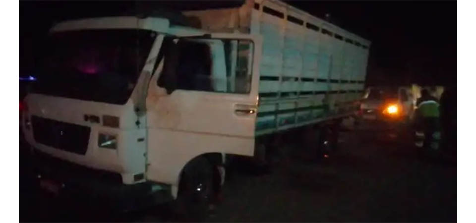 Família é feita refém e bandidos roubam gado