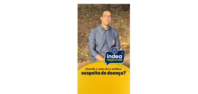 INDEA orienta produtores a fazer comunicação de surgimento de doenças em animais na propriedade. Vídeo