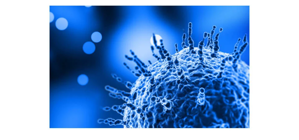 Vírus com 70% de letalidade está contaminando e pode virar a nova pandemia mundial