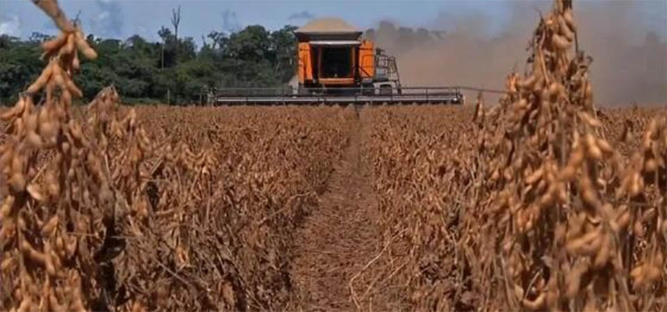 PIB de Mato Grosso cresceu o triplo da média nacional desde 2002