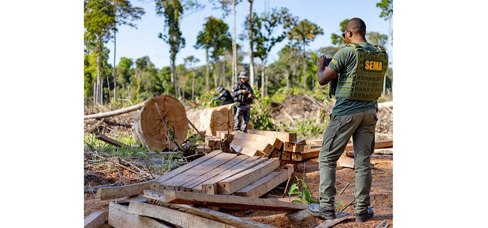 Mato Grosso aplica R$ 1,1 bilhão em multas ambientais nos primeiros 7 meses do ano