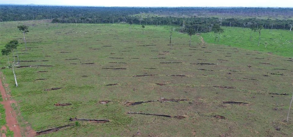 Forças de segurança fiscalizam fazendas no noroeste de MT e aplicam cerca de R$ 24,2 milhões em multas