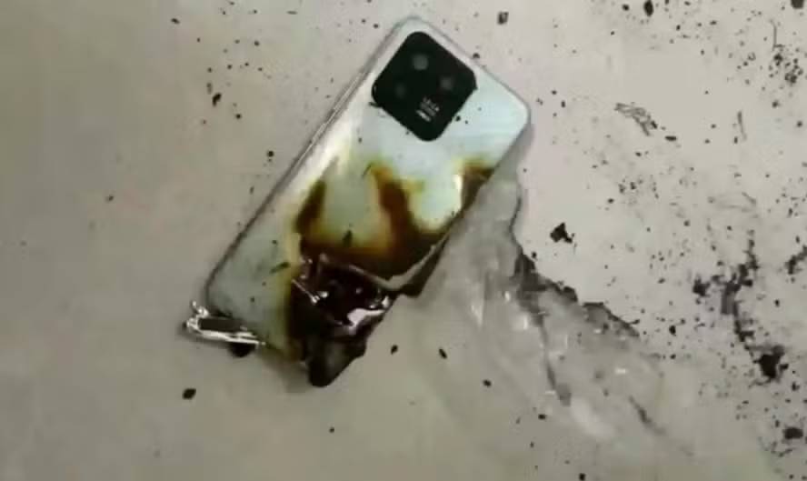 Adolescente sobrevive a ataque de urso após celular explodir quando era mordido nas nádegas