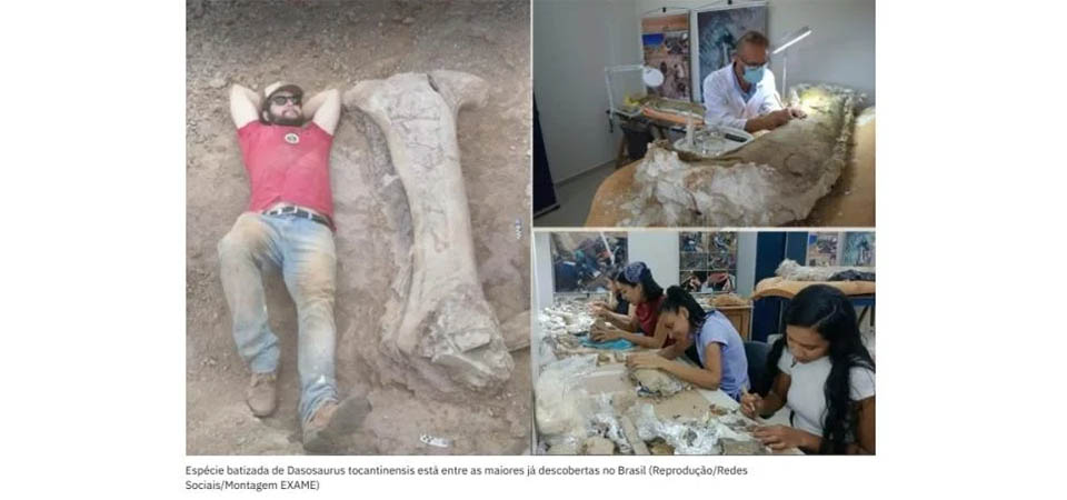 Cientistas descobrem nova espécie de dinossauro gigante no Brasil