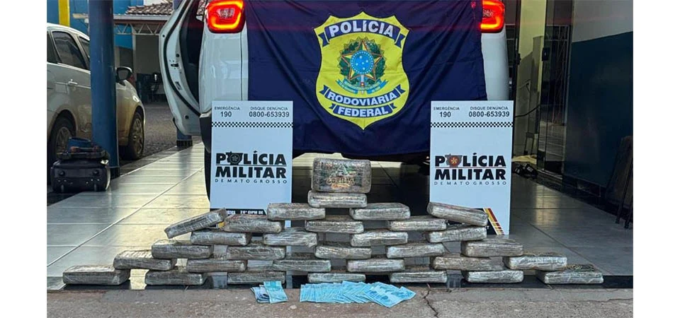 Forças de segurança apreendem 113 tabletes de cocaína em veículo