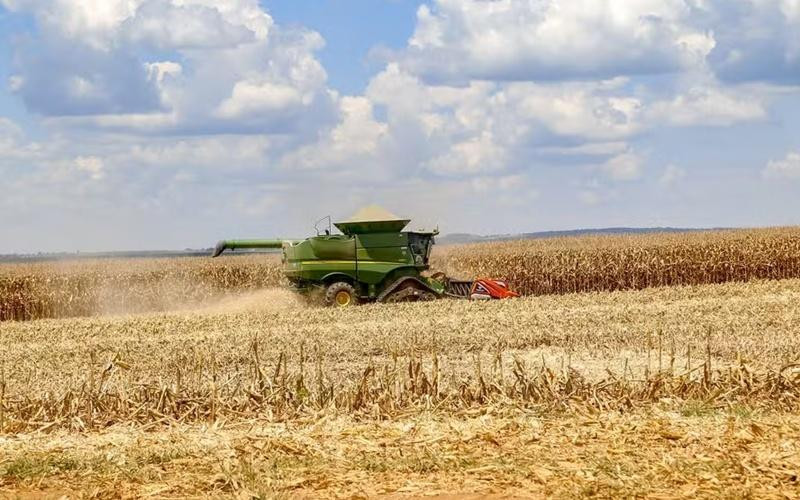 Crise no agronegócio pressiona produtores em Mato Grosso e já impacta arrecadação de municípios