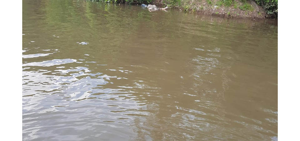 Menino de 3 anos morre afogado em piscina de clube