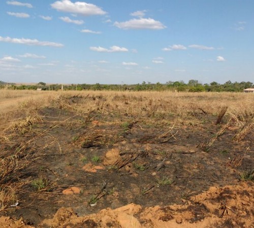 População de Itanhangá sofre com as queimadas
