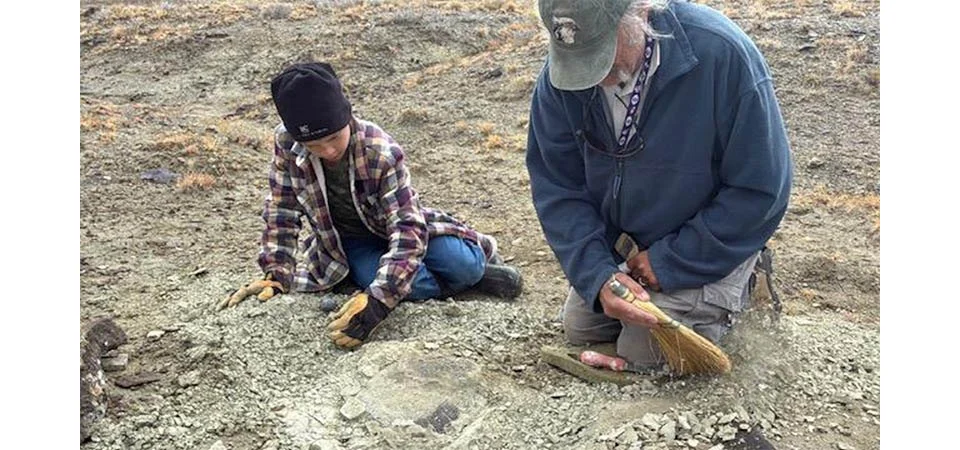 Menino de 11 anos descobre fóssil de tartaruga de 48 milhões de anos por acaso