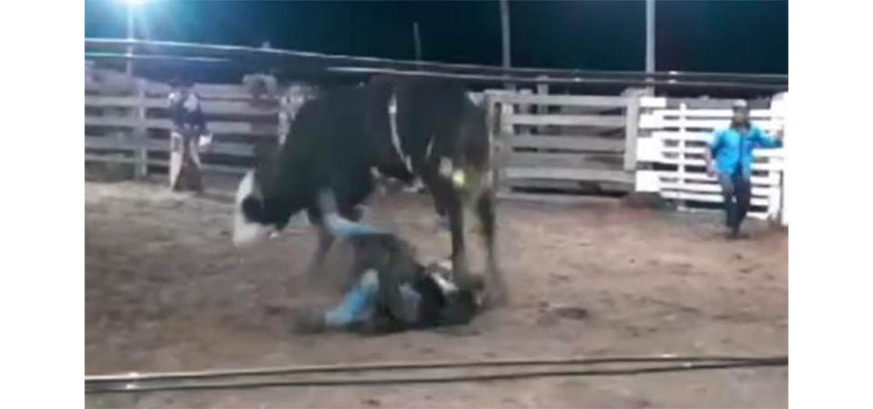 Adolescente de 17 anos morre após ser pisado por touro. Vídeo