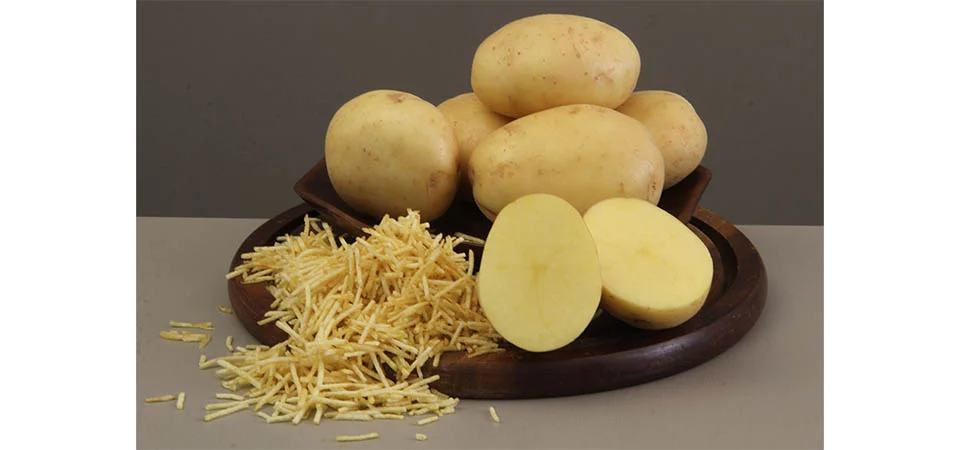 Embrapa lança cultivar de batata para a indústria de chips e palha