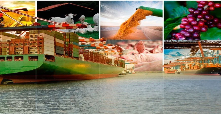 Apesar das sanções, agro sustenta superávit comercial de R$ 5,9 bilhões