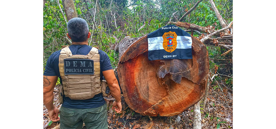 Acidente na MT-242 resulta em duas mortes e quatro feridos