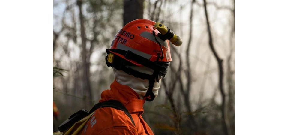 Registro de Marca a Fogo: MT alcança 98,31% de adesão