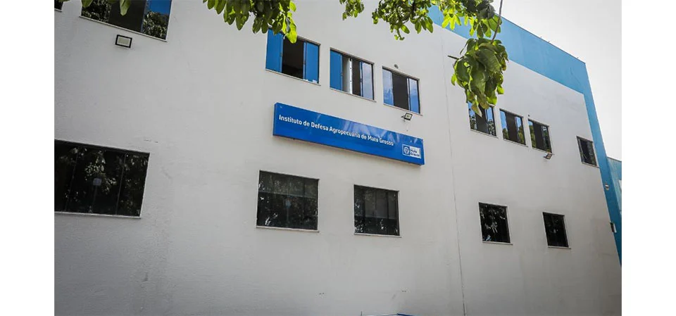 Indea confirma caso de besouro que ataca colmeias em MT e emite nota técnica para produtores