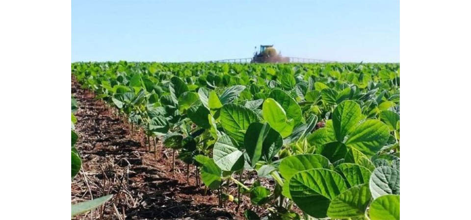 Barões do agro e Aprosoja vão pagar R$ 5 milhões para enterrar processos em MT