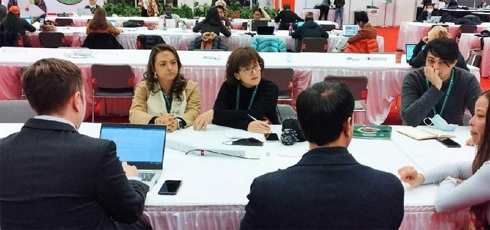 Mato Grosso contribui com 62% do território preservado enquanto meta da COP15 é 30%