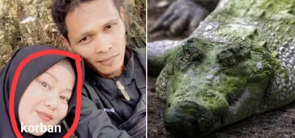 Grávida que preparava comida é arrastada da cozinha de casa e morta por crocodilo