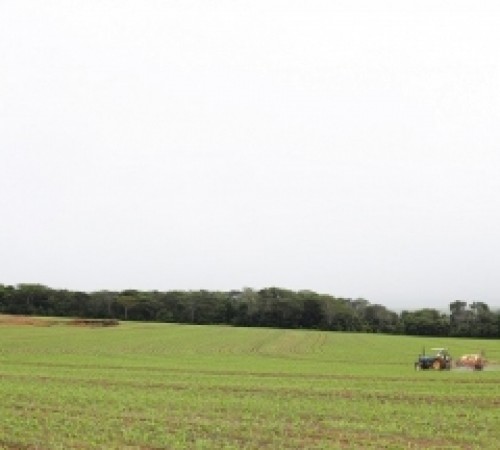 Dados do CAR mostram relevância do agricultor na preservação ambiental