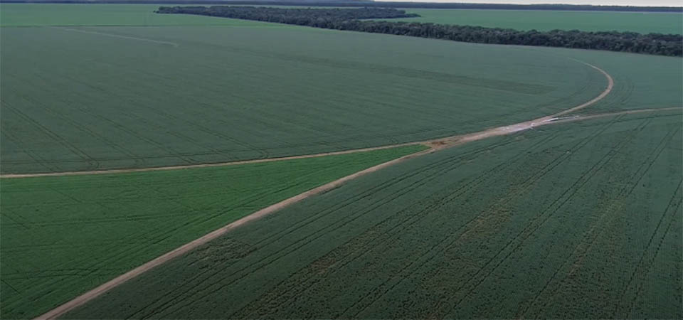 Brasil está entre os países com maior área agrícola do mundo; veja ranking