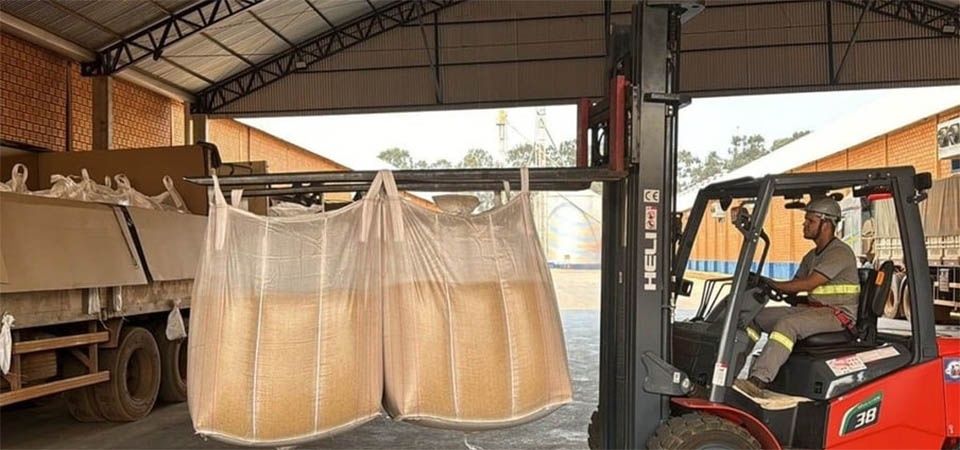 Aprosmat lança campanha sobre boas práticas no transporte de sementes