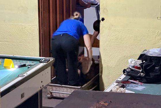 Dono de bar morto a tiros já foi preso por esconder quadrilha que assaltou o Itaú em Cuiabá