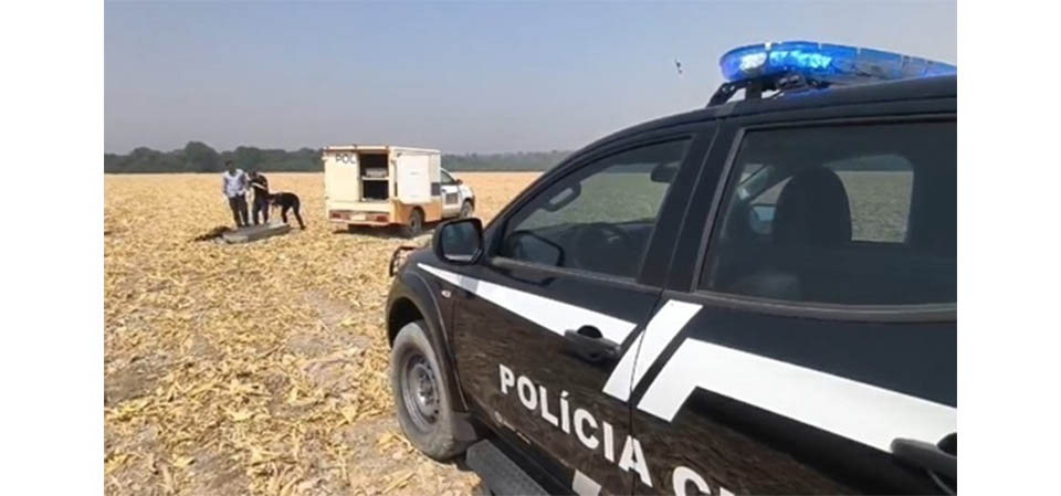 Corpo em avançado estado de decomposição é encontrado