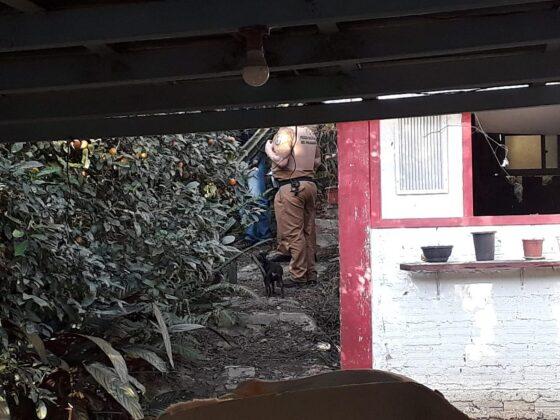 Homem é preso após enterrar mãe cadeirante em galinheiro