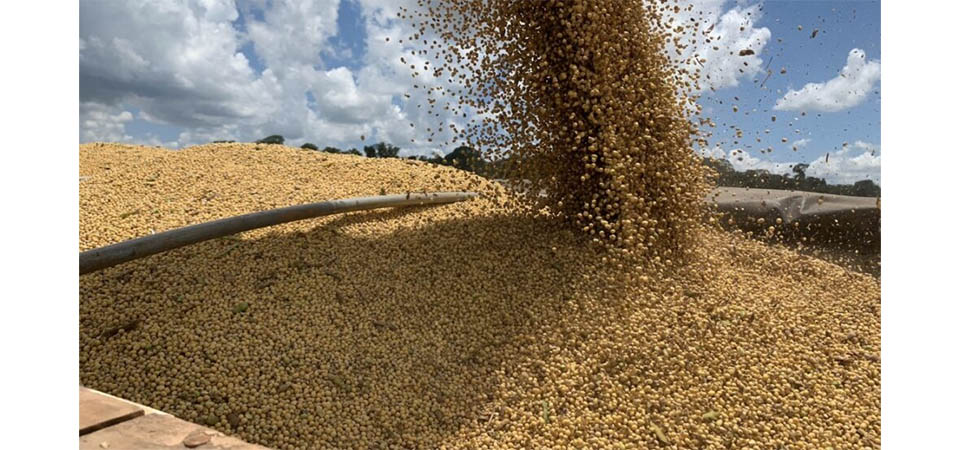 Venda de soja em Mato Grosso para abrir espaço nos armazéns