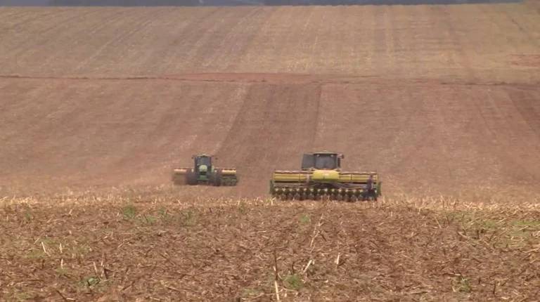 Do crédito aos fertilizantes, incertezas se acumulam no campo de Mato Grosso, diz Imea