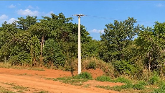 Homem é encontrado morto após sair para cortar bambu