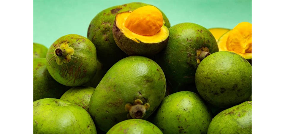 Após 20 anos de pesquisa, pequi sem espinhos chegará às mesas