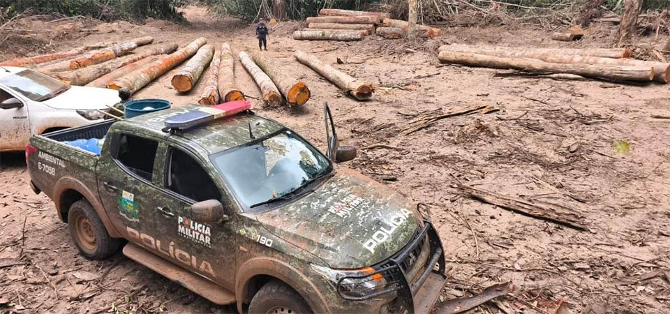 Batalhão Ambiental da PM apreende mais de 174 m³ de madeira ilegal durante fiscalização