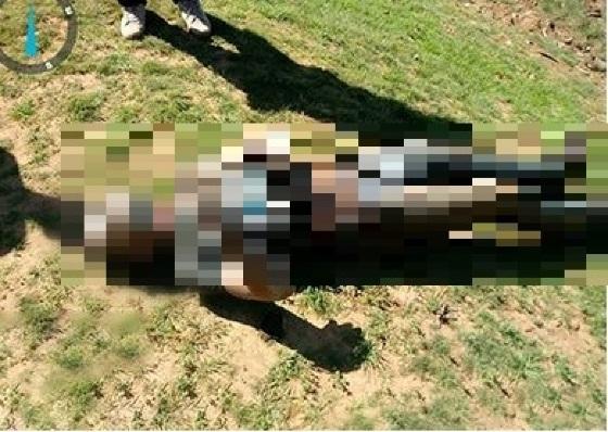 Polícia prende dois por degolar e retalhar jovem após briga de bar