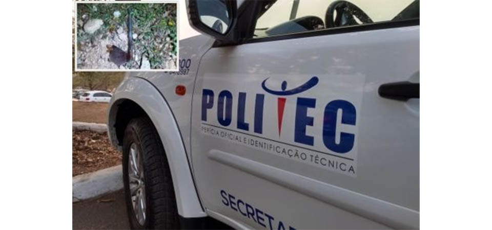 Jovem é assassinado com golpes de machadinha