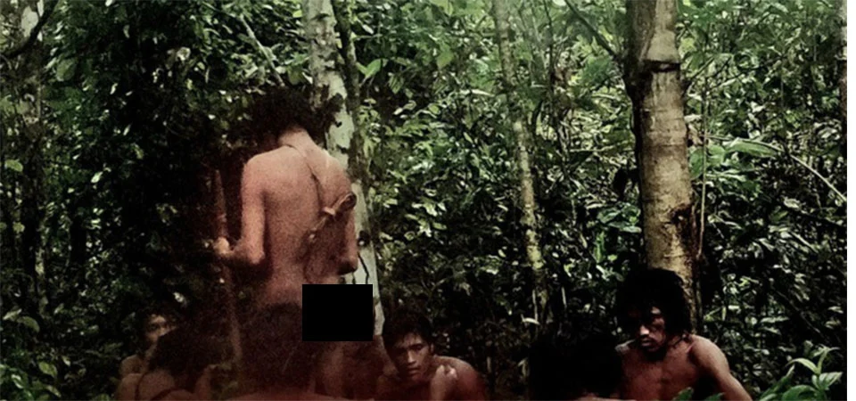 Funai constata presença de indígenas isolados em MT e destaca necessidade de proteção