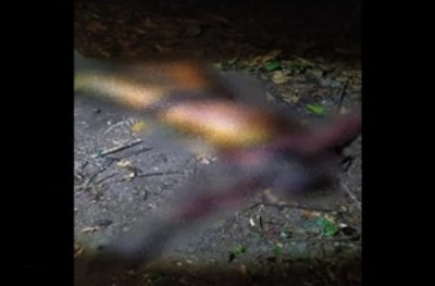 Trabalhadores encontram corpo que pode ser de estuprador de ‘crianças’