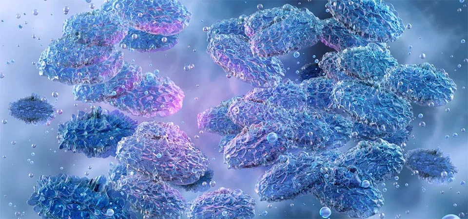 Doenças da Idade Média continuam a circular e fazer vítimas