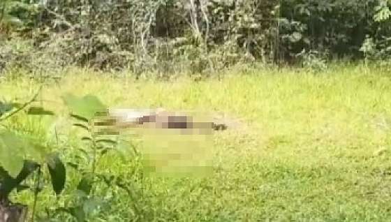 Corpo de jovem desaparecida é localizado em mata