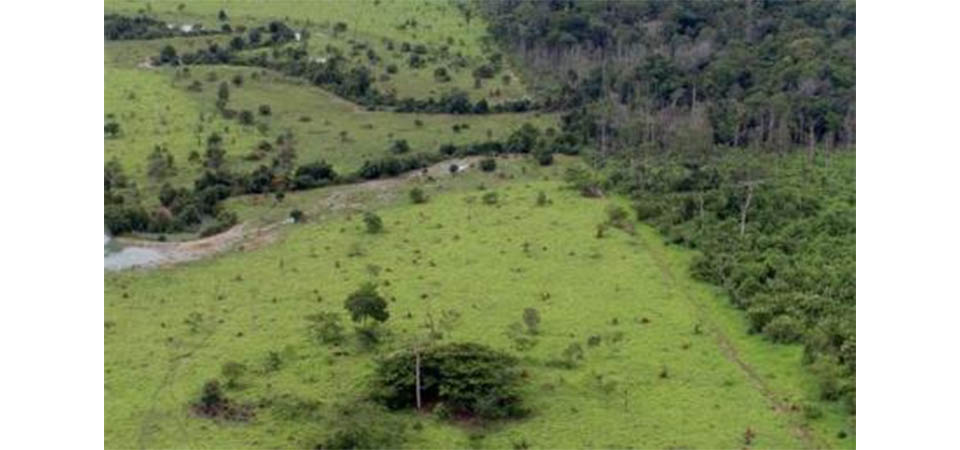 Aberto o prazo para entrega da Declaração do Imposto Territorial Rural