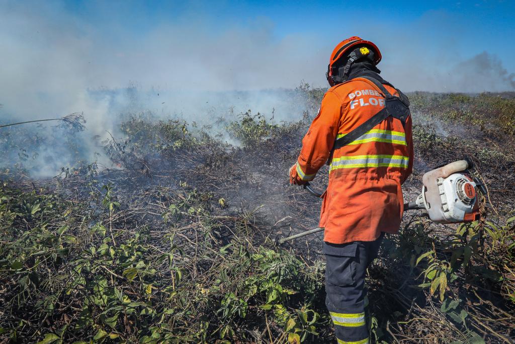 Sema prioriza queima controlada para evitar incêndios de grande porte