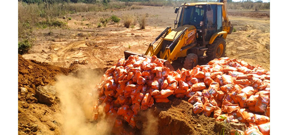 Mais de quinze toneladas de sementes irregulares apreendidas em fiscalização do Indea são destruídas