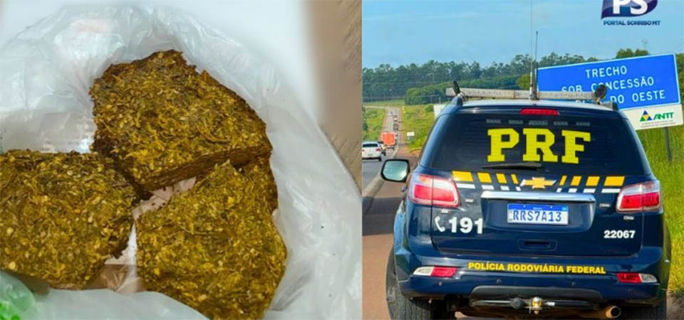 PMMT fecha depósitos do tráfico, apreende 300 kg de droga e prende mais de mil pessoas em 2022