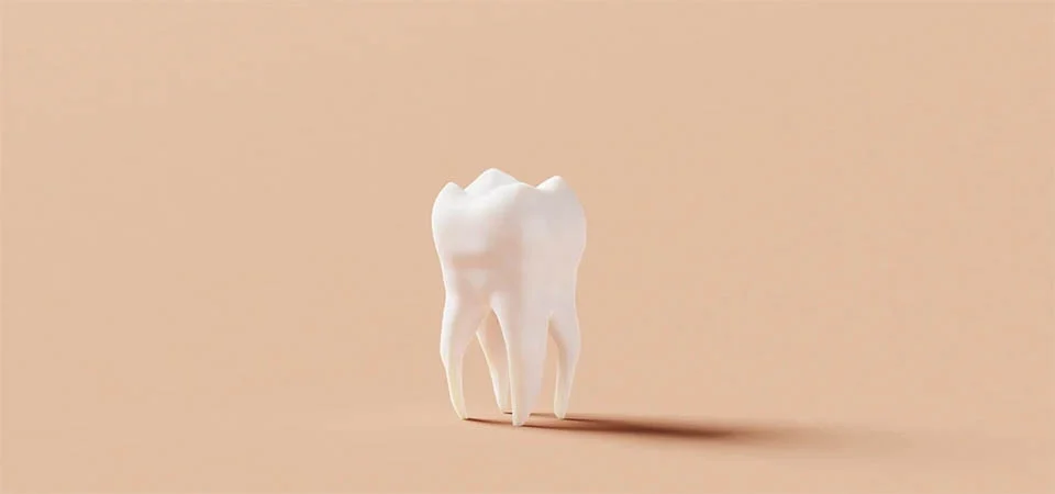 Siso: por que algumas pessoas têm o dente e outras não o desenvolvem