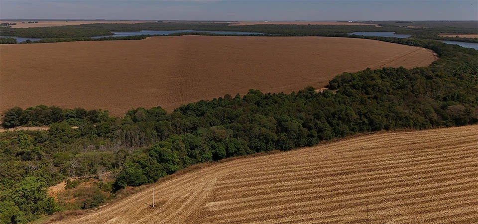 Aprosoja MT ressalta a importância de capacitar equipes para o período da estiagem