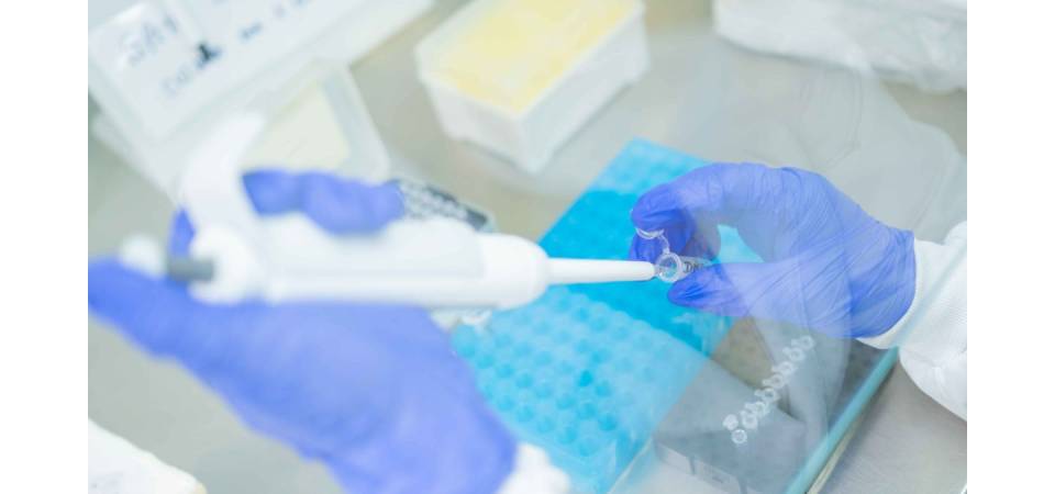 Unemat desenvolve teste rápido para identificar nematóides em lavouras de soja