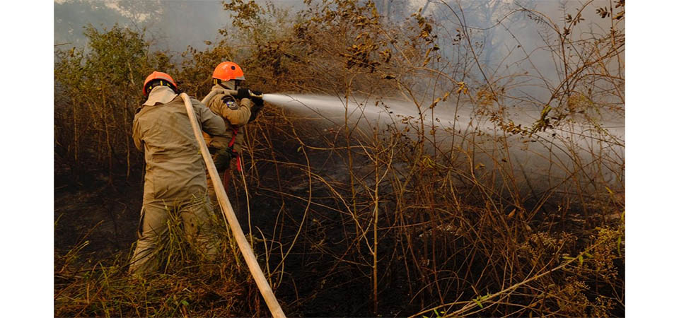 Período proibitivo de uso de fogo em áreas rurais começa no sábado (1º)