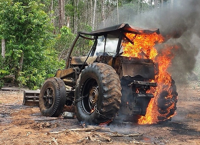 Ibama flagra exploração ilegal de madeira em terra indígena e assentamento