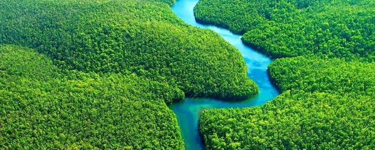 AMAZÔNIA: Força-tarefa Federal continuará por mais um ano na região cumprindo determinações judiciais